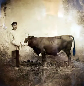 Un paysan du Westerwald et sa vache, photo des années 1870. © Musée de Hamm (Sieg), photo B. S.