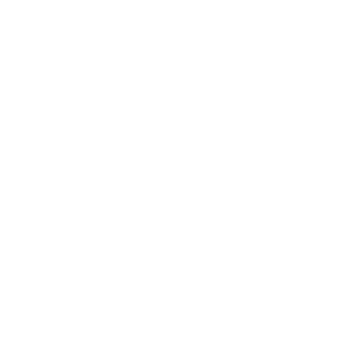 X (Twitter)