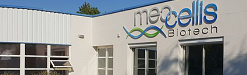MECCELLIS BIOTECH réalise des prothèses et implants à partir de peaux de cochons