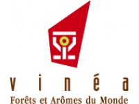 VINEA