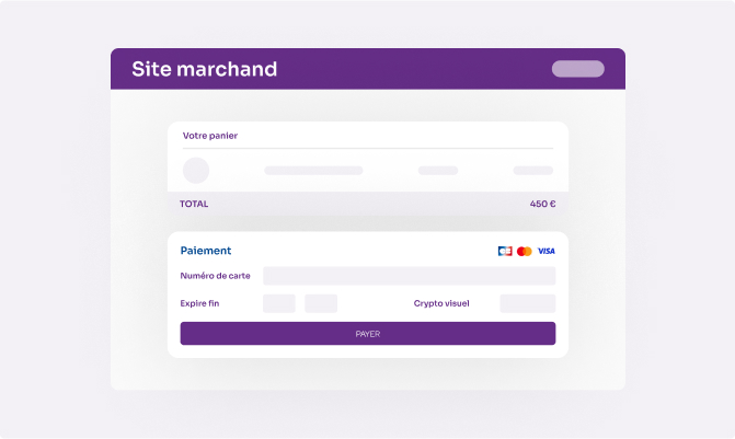 Aperçu du paiement embarqué sur le site marchand